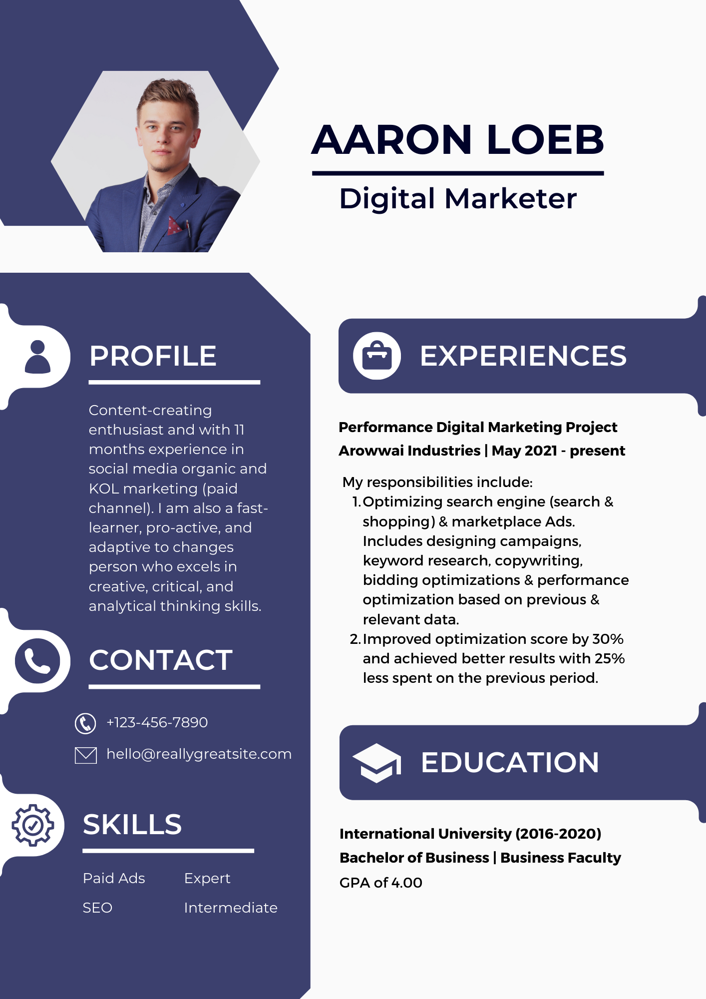 professional summary for resume digital marketing